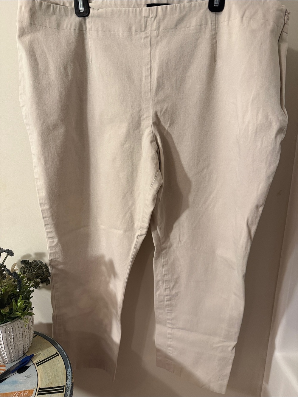 Talbots Woman Light Beige Chinos with side zip Sz 22W excellent condition